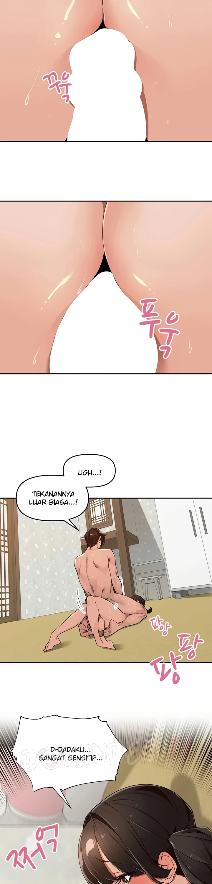 Village Special Ordinance - Page 17